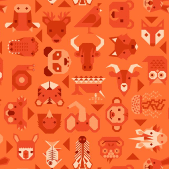 Animal Alphabet Animals on Orange