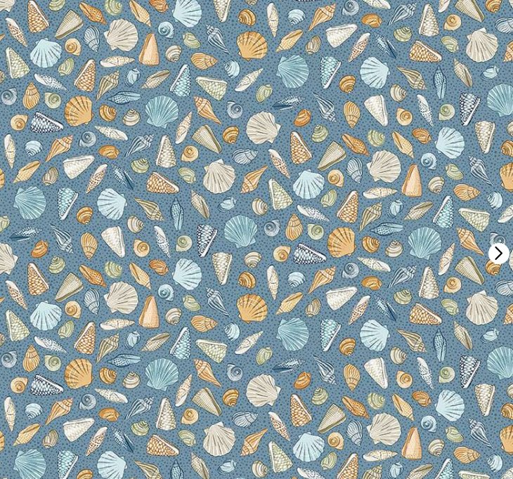 Beachcomber Blue D079 B5