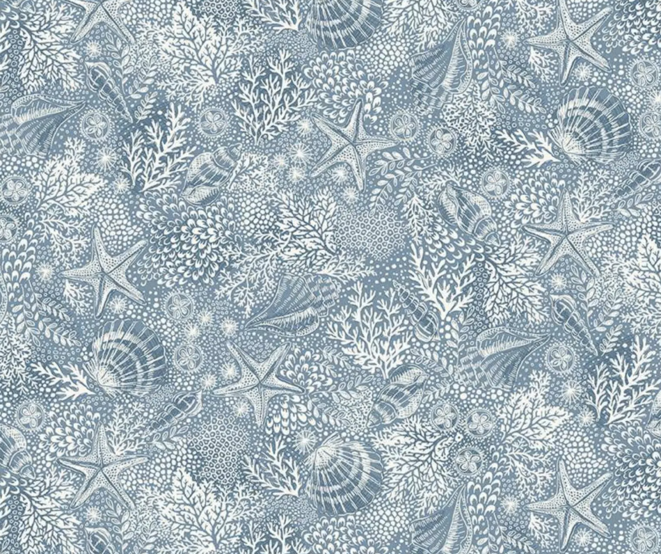 Reef D081 B5